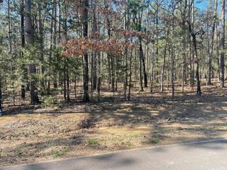 000 Santa Lucia Drive, Fairfield Bay, AR 72088