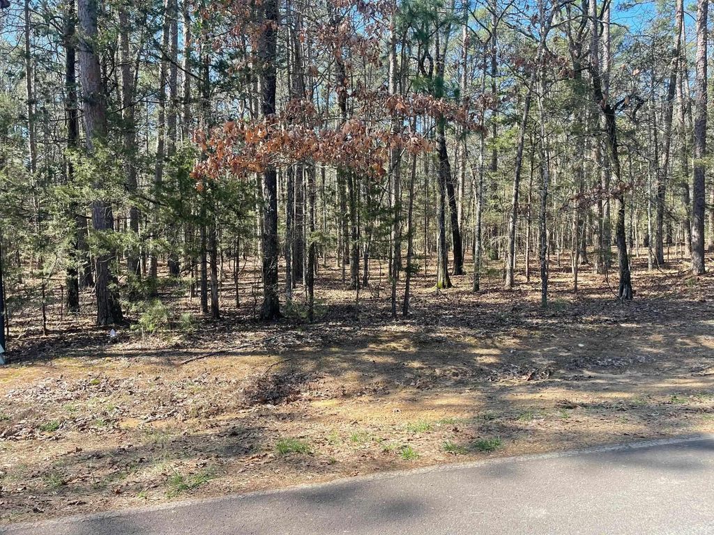000 Santa Lucia Drive, Fairfield Bay, AR 72088