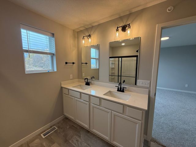 14995 Avondale View, Rosemount, MN 55068