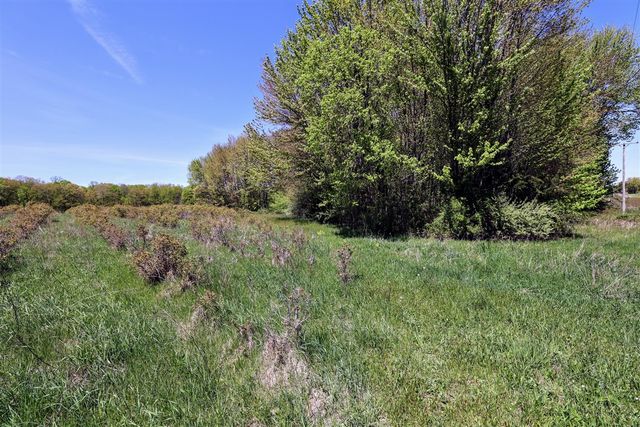 59070 Benny Ct, Grand Junction, MI 49056