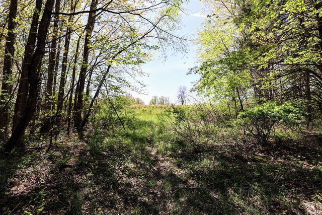 59070 Benny Ct, Grand Junction, MI 49056