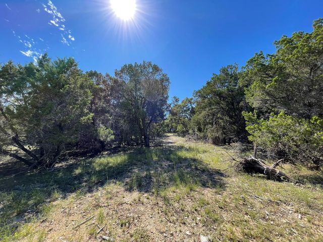 7717 Calcutta Run DR, Jonestown, TX 78645