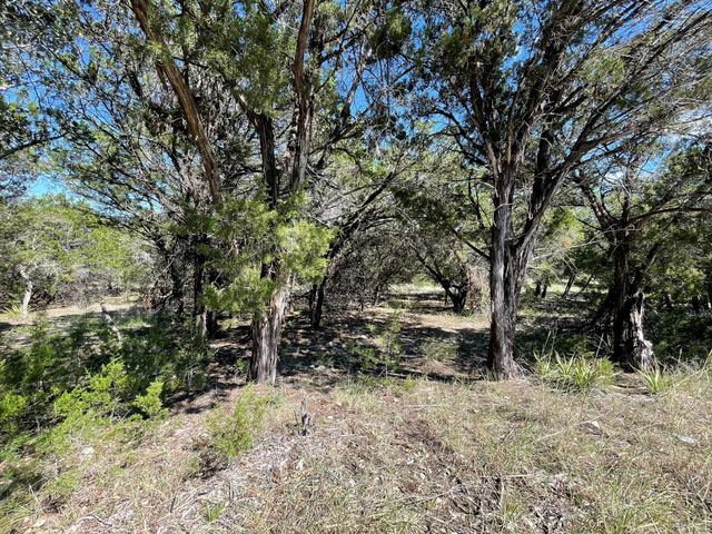 7717 Calcutta Run DR, Jonestown, TX 78645