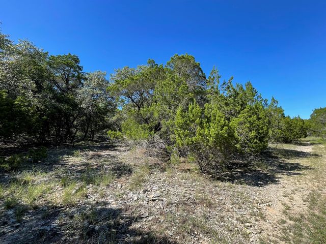 7717 Calcutta Run DR, Jonestown, TX 78645