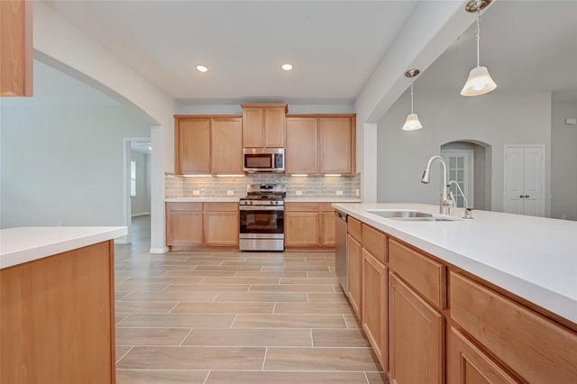 219 Little Dog Drive, Montgomery, TX 77356