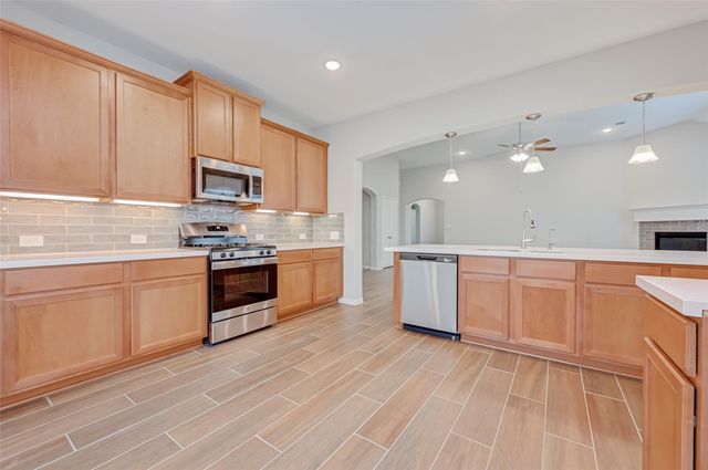 219 Little Dog Drive, Montgomery, TX 77356