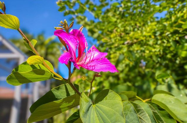 11098 SW Wyndham Way, Port St. Lucie, Port St Lucie, FL 34987