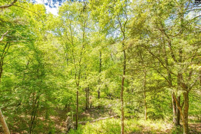 1030 Blume Road, Blythewood, SC 29016