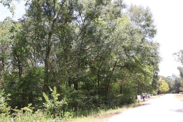 tbd Dove Creek Drive, Coldspring, TX 77331