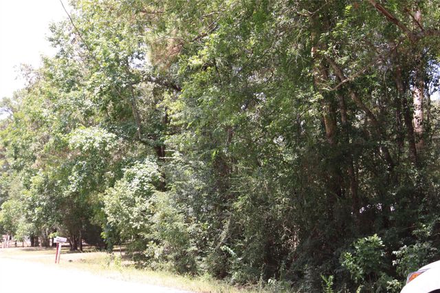tbd Dove Creek Drive, Coldspring, TX 77331