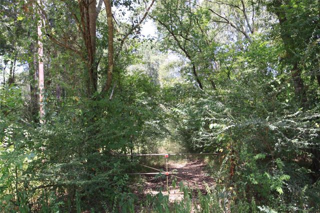 tbd Dove Creek Drive, Coldspring, TX 77331
