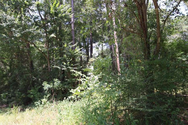 tbd Dove Creek Drive, Coldspring, TX 77331