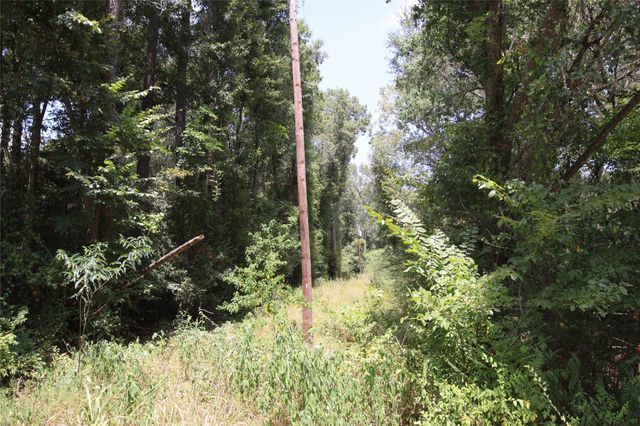 tbd Dove Creek Drive, Coldspring, TX 77331