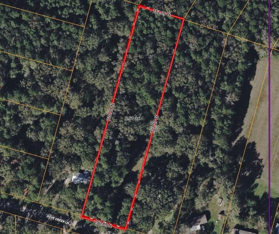 tbd Dove Creek Drive, Coldspring, TX 77331