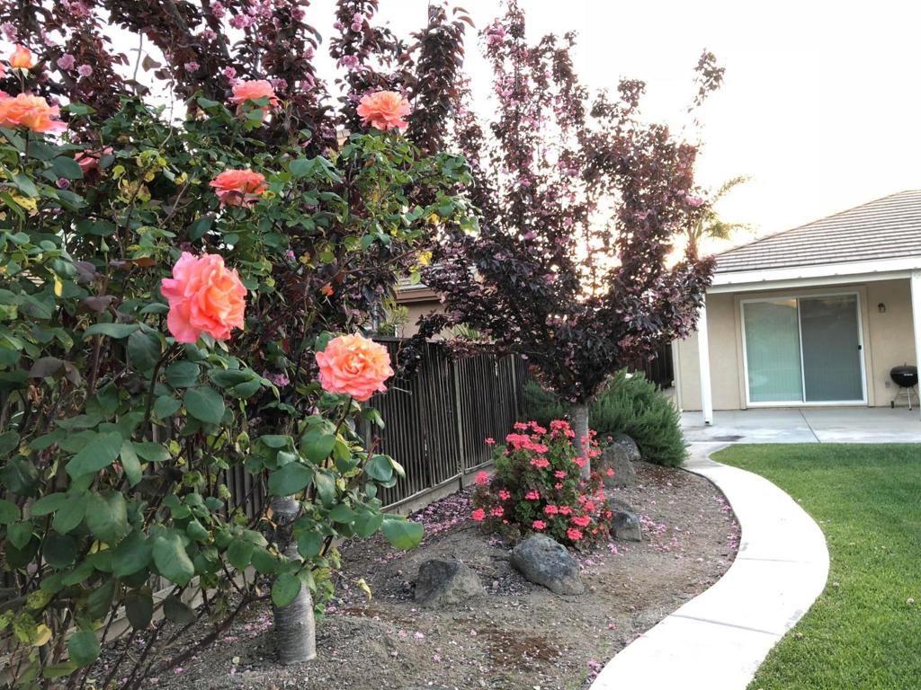 Image 5 of property listing at 10658 Willow Glen Circle, Stockton, CA 95209