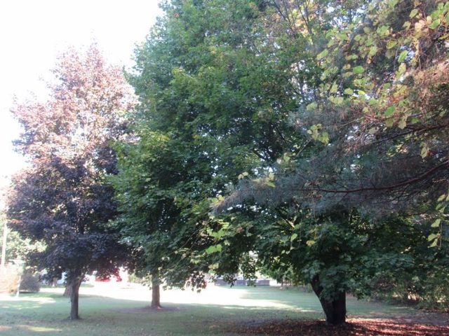 1346 E Caro Road, Caro, MI 48723