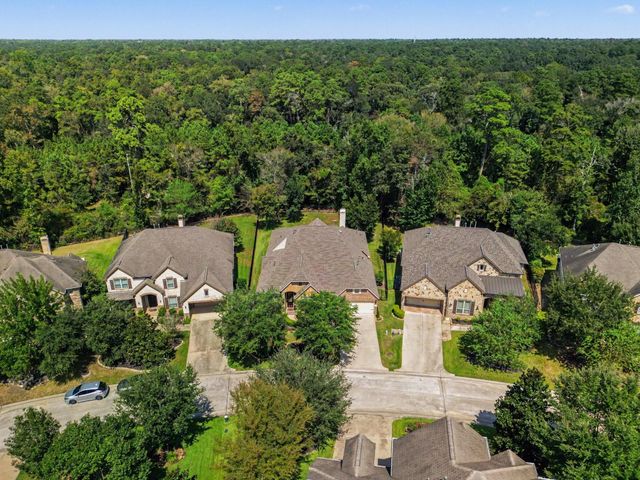 62 Sandwell Place, Spring, TX 77389