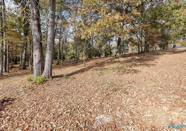 1.22 Ac Riverview Circle, Scottsboro, AL 35769
