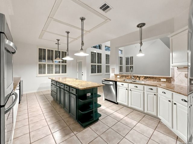 20514 WILD SPRINGS DR, San Antonio, TX 78258