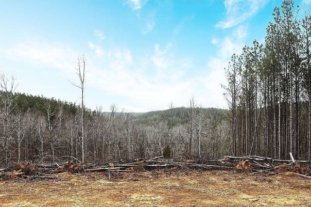 1661 Sassafras Stand Ridge Rd, Linden, TN 37096