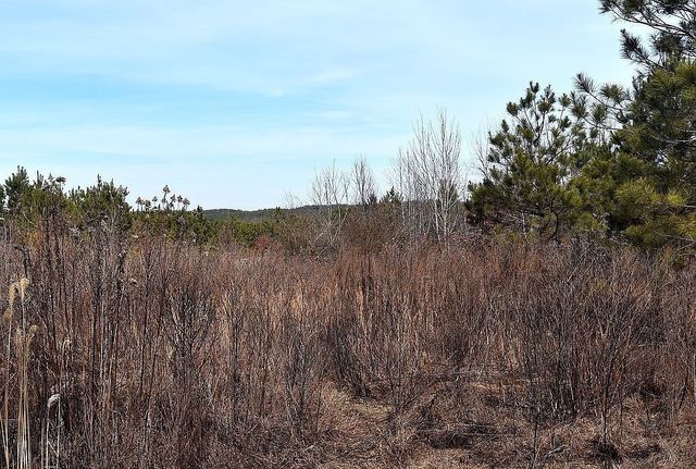 1661 Sassafras Stand Ridge Rd, Linden, TN 37096