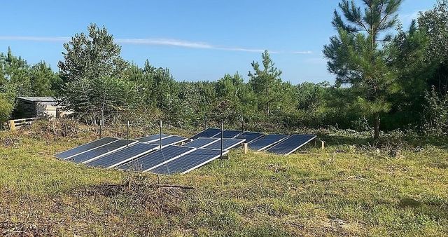 1661 Sassafras Stand Ridge Rd, Linden, TN 37096