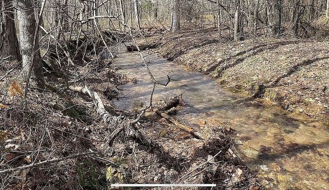 1661 Sassafras Stand Ridge Rd, Linden, TN 37096