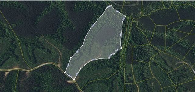 1661 Sassafras Stand Ridge Rd, Linden, TN 37096