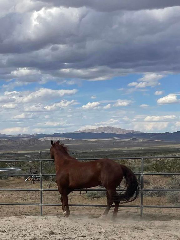 7077 Camp Rock Road, Lucerne Valley, CA 92356