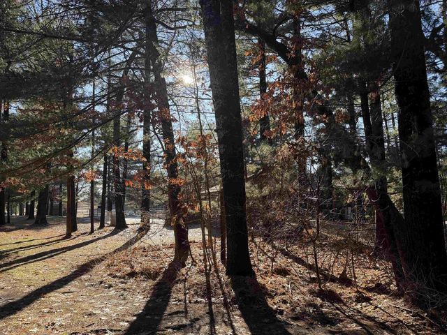 9 Pine Trail, Wisconsin Dells, WI 53965