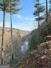 436 Meadow Lane, Talking Rock, GA 30175