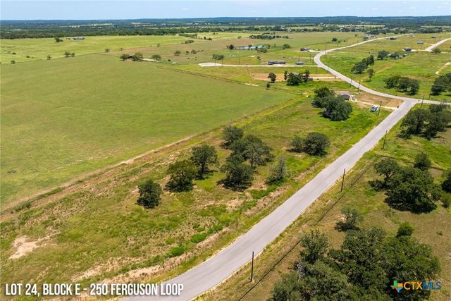 250 Ferguson Loop, Dale, TX 78616