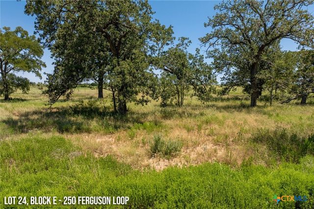 250 Ferguson Loop, Dale, TX 78616