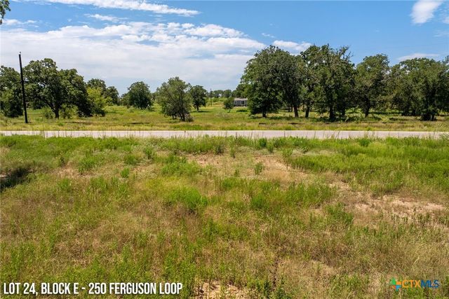 250 Ferguson Loop, Dale, TX 78616