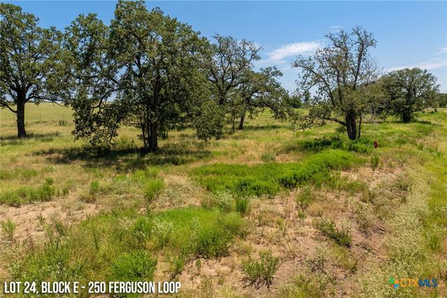 250 Ferguson Loop, Dale, TX 78616