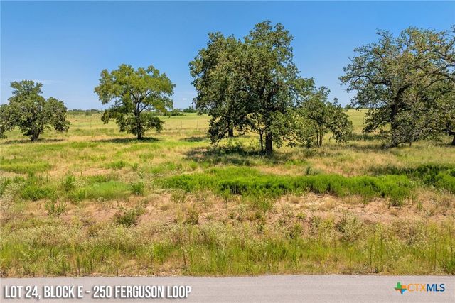 250 Ferguson Loop, Dale, TX 78616