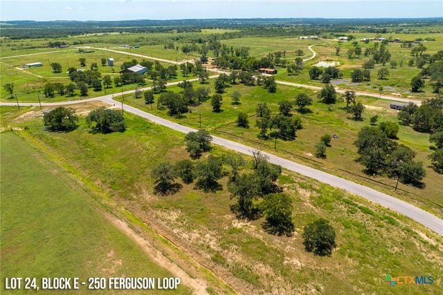 250 Ferguson Loop, Dale, TX 78616