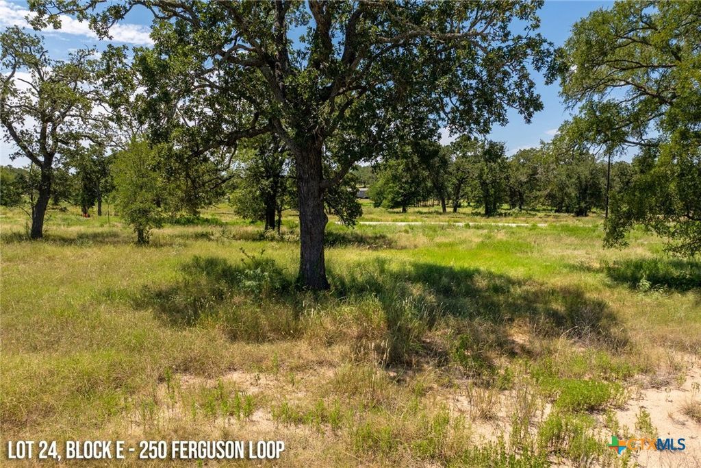 250 Ferguson Loop, Dale, TX 78616
