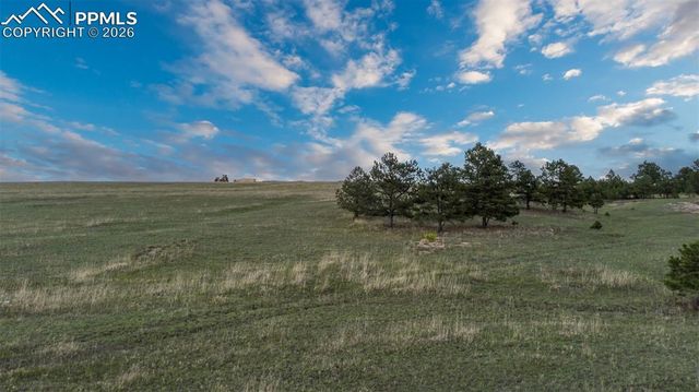 11516 Bison Meadows Court, Colorado Springs, CO 80908