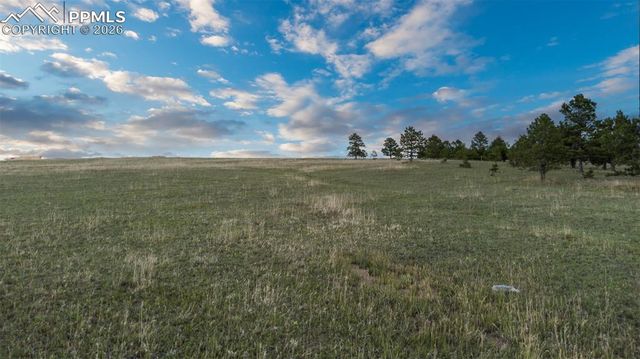 11516 Bison Meadows Court, Colorado Springs, CO 80908