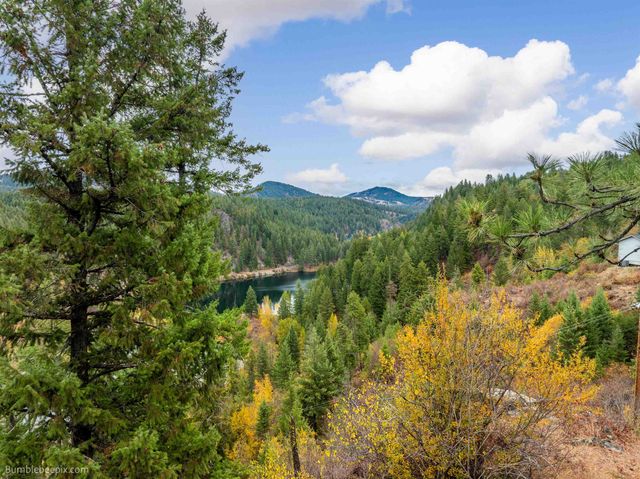 xx N Chain Lake Rd, Elk, WA 99009