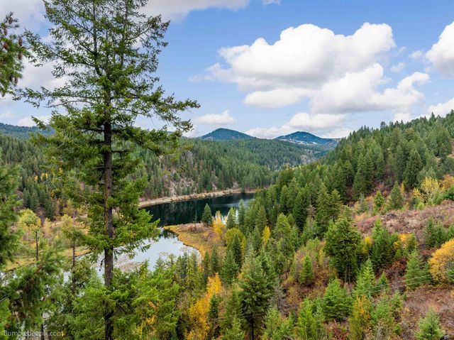 xx N Chain Lake Rd, Elk, WA 99009