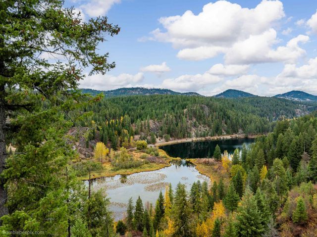 xx N Chain Lake Rd, Elk, WA 99009