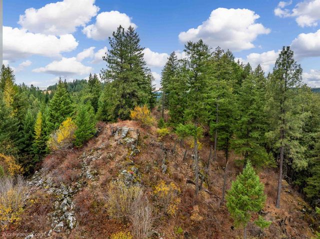 xx N Chain Lake Rd, Elk, WA 99009