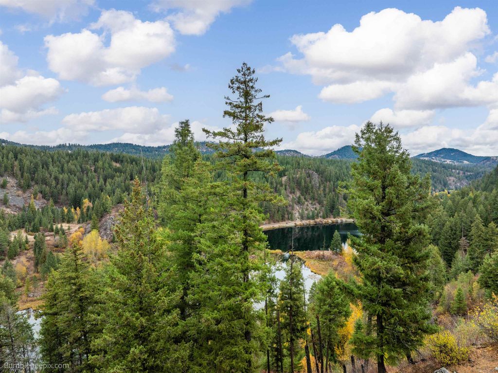 xx N Chain Lake Rd, Elk, WA 99009 photo 15