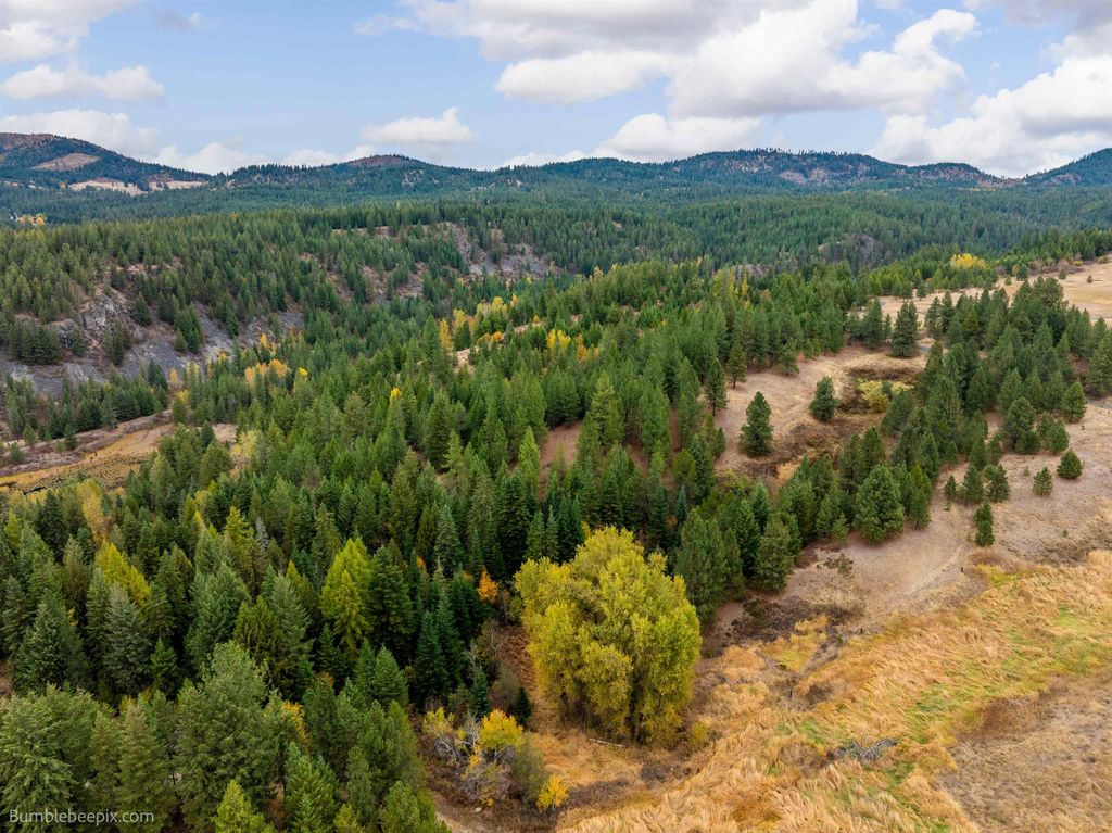 xx N Chain Lake Rd, Elk, WA 99009 photo 21
