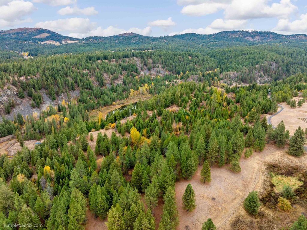 xx N Chain Lake Rd, Elk, WA 99009 photo 6