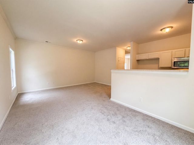 149 Angel Garden Way, Columbia, SC 29223