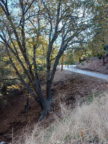 24764 Edelwiess, Crestline, CA 92325