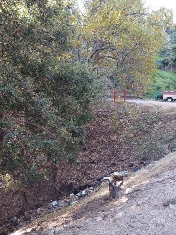 24764 Edelwiess, Crestline, CA 92325